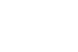 Spark the Journey